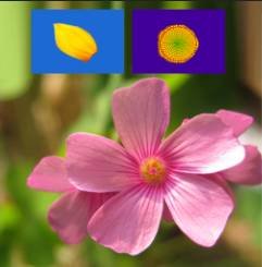 ʹAdobe Photoshop CS6gifӮ