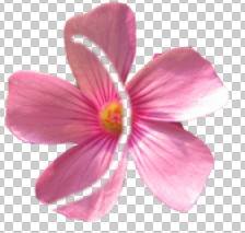 ʹAdobe Photoshop CS6gifӮ