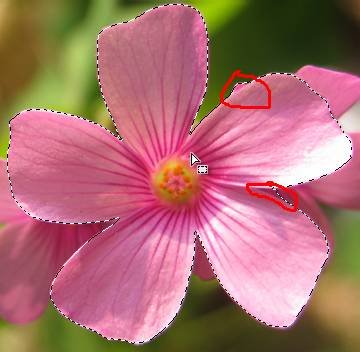 ʹAdobe Photoshop CS6gifӮ