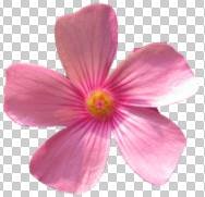 ʹAdobe Photoshop CS6gifӮ