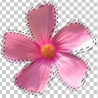 ʹAdobe Photoshop CS6gifӮ