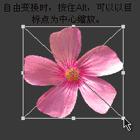 ʹAdobe Photoshop CS6gifӮ