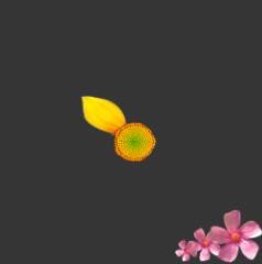 ʹAdobe Photoshop CS6gifӮ