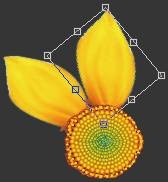 ʹAdobe Photoshop CS6gifӮ