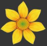 ʹAdobe Photoshop CS6gifӮ