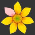 ʹAdobe Photoshop CS6gifӮ