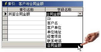 Access2000΄(chung)?
