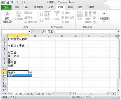 Excel2010(sh)(j)ЧԼ\(yn)