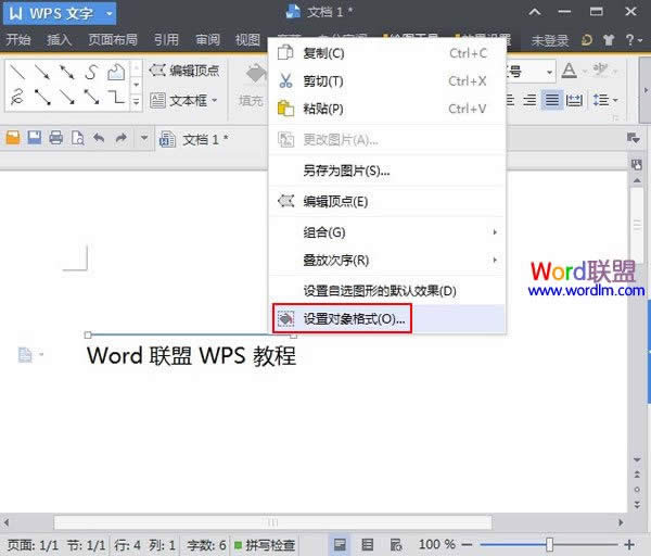 WPSôP(gun)]ƴz