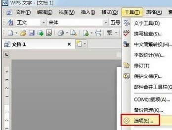 wpsO(sh)Ԅ(dng) 