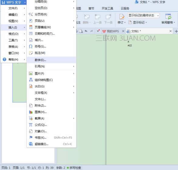 wpsӔ(sh)־̖