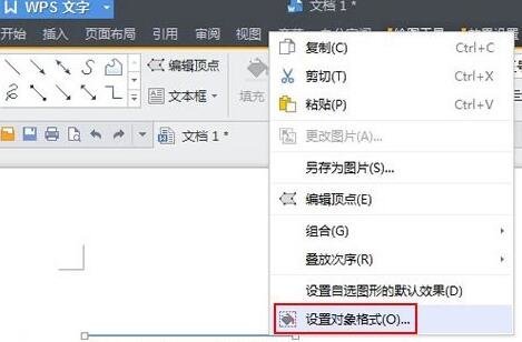 WPS̖_վ