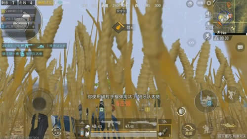 ̼(zhn)QِȦsôk ̼(zhn)QِȦҪc