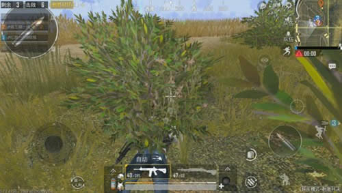 ̼(zhn)QِȦsôk ̼(zhn)QِȦҪc
