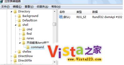 P(gun)]_Vista AeroЧĿݷʽ