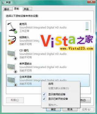 VistaO(sh)wk