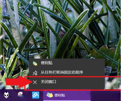 Win10㺞NNδ_\kB